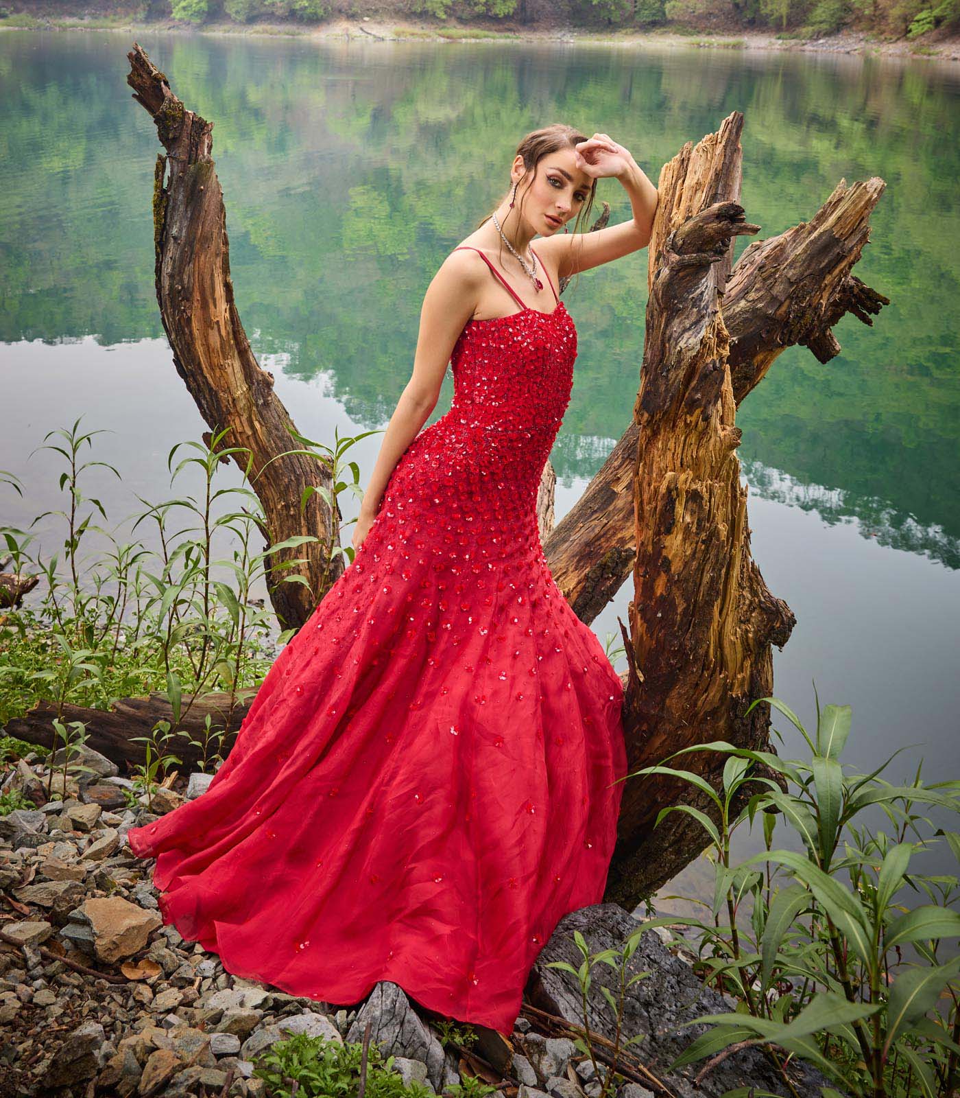 Scarlet Gown