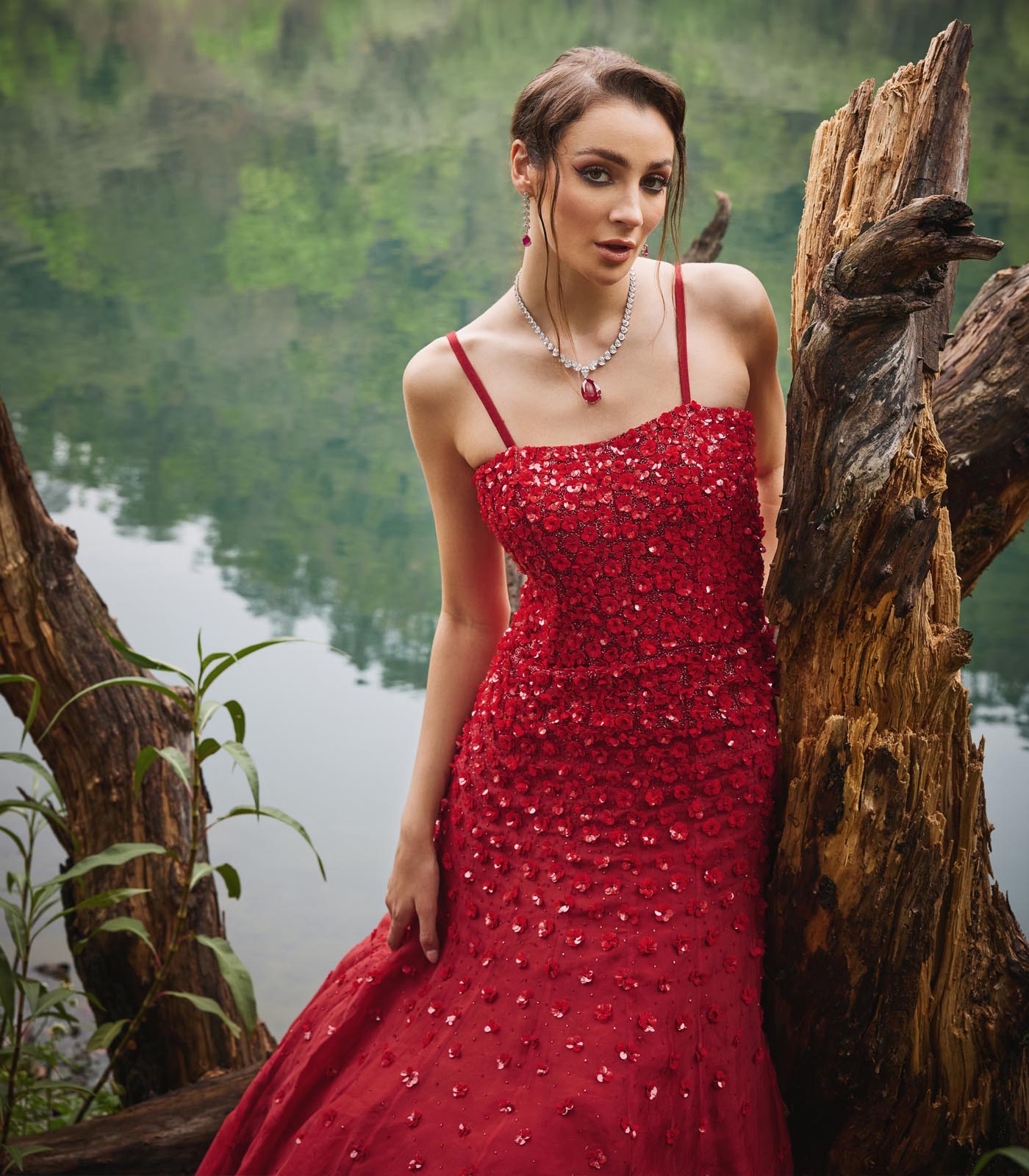 Scarlet Gown