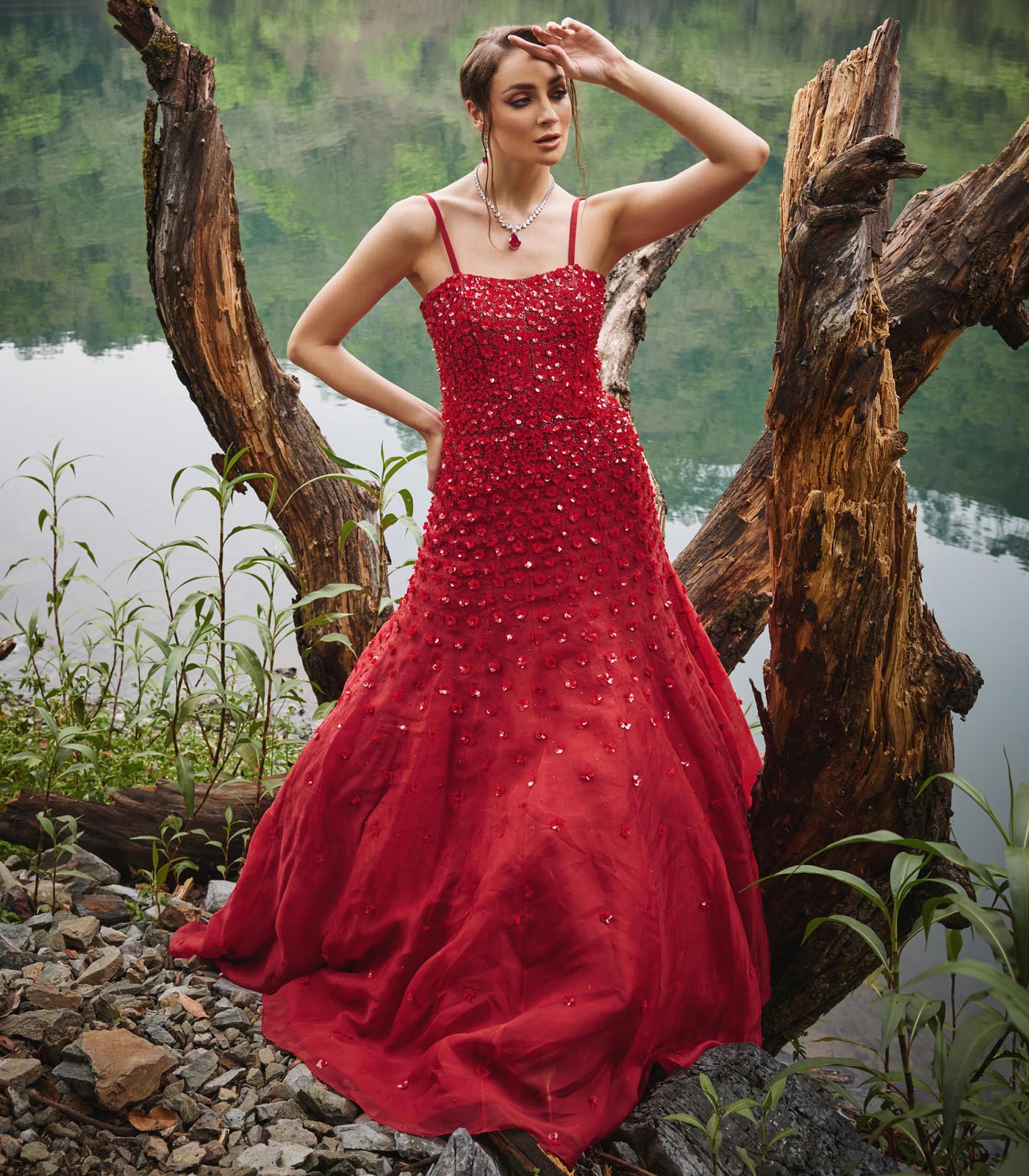 Scarlet Gown