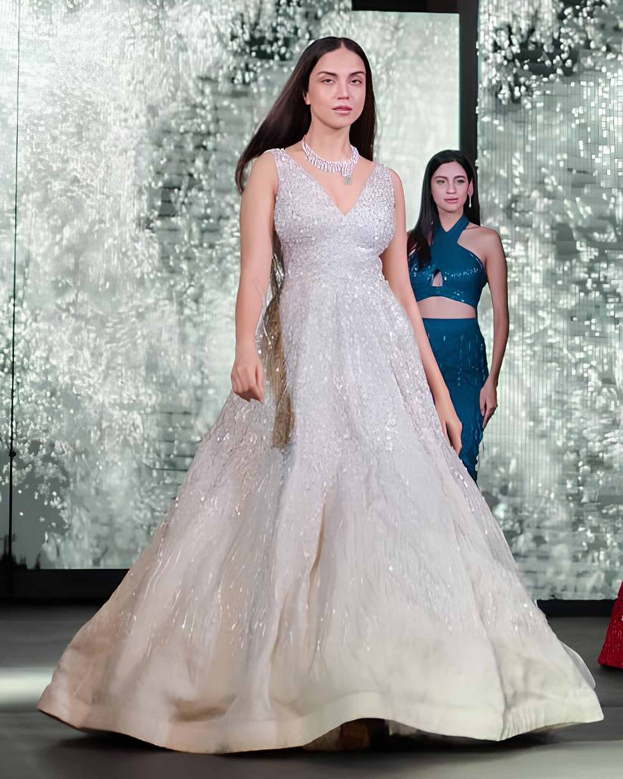Moonlight embroidered Gown