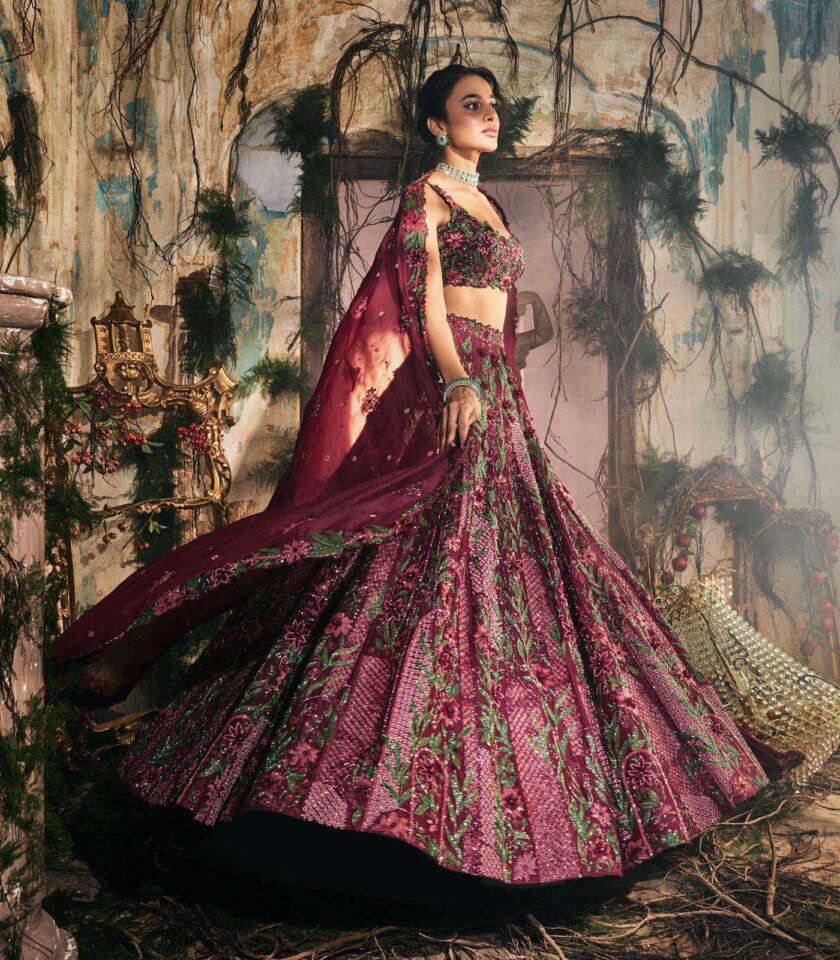 Plumage lehenga set - Image 2