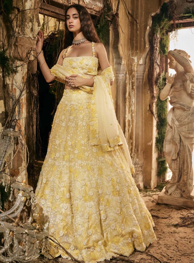 Daisy dew lehenga set
