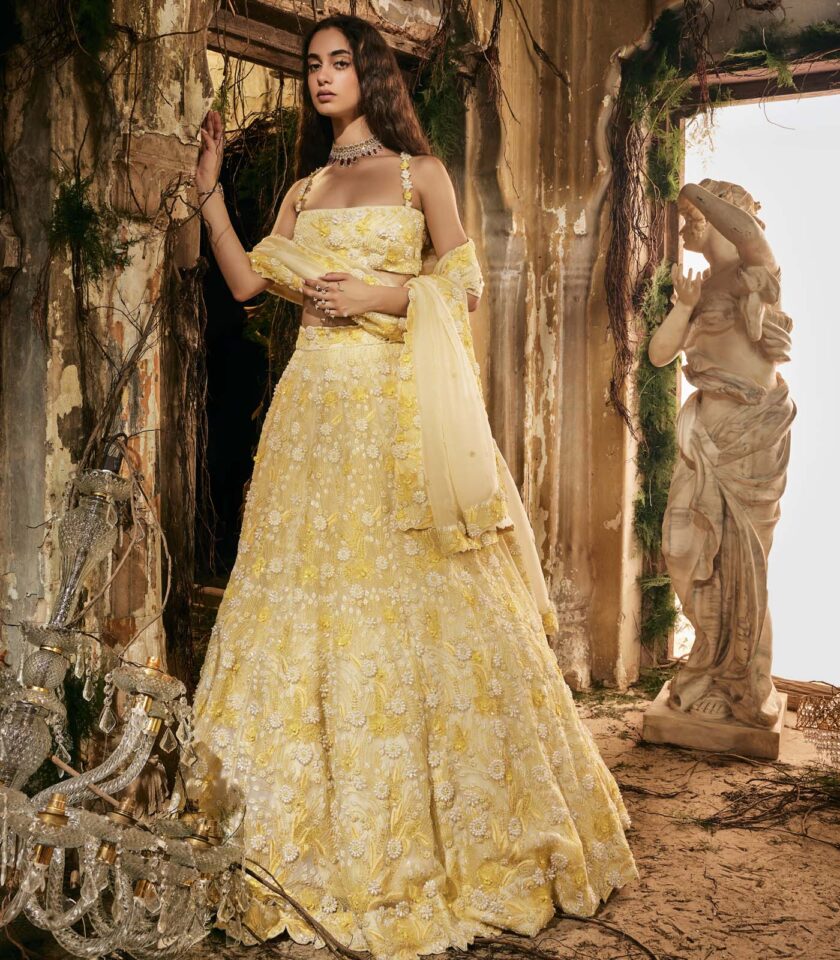 Daisy dew lehenga set